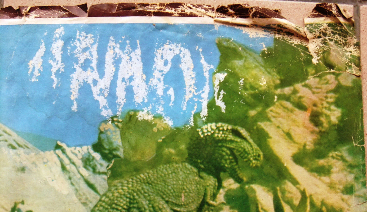 Il dei Dinosauri, of the Dinosaurs D Italian Film Lobby