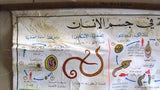الديدان الطفيلية Parasitic worm Arabic Original French educational Poster 1974