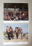 {Set of 8} The Warriors (MICHAEL BECK) Org. 8x10" U.S Lobby Cards 70s