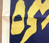 Secret of the Princess Poster ملصق سر الأميرة