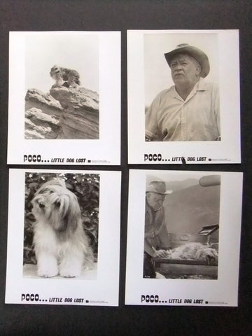 {Set of 18} Poco the adventures of a little dog lost ORG Movie Photos 70s