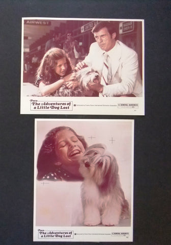 {Set of 6} Poco the adventures of a little dog lost ORG Movie Photos 70s