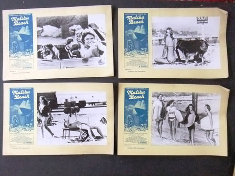 {Set of 15} Malibu Beach Kim Lankford 9.5x15'' Original int. B&W Lobby Cards 70s