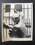 (Set of 8) SPIDERMAN (NICHOLAS HAMMOND) 10x8 Film Original Stills Photos 70s