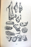 كتاب فن الطبخ, جورج ناصيف الريس Arabic Cooking Art Lebanese Book 1953