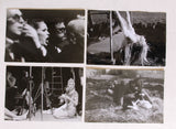 Brigitte Bardot – Collection of 108 Original Photographs, 1960s–1980s