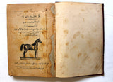 كتاب الخيل وفرسانها, نجيب بك خوري Arabic Horses Anatomy Lebanese Org. Book 1912