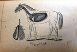 كتاب الخيل وفرسانها, نجيب بك خوري Arabic Horses Anatomy Lebanese Org. Book 1912