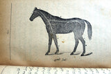 كتاب الخيل وفرسانها, نجيب بك خوري Arabic Horses Anatomy Lebanese Org. Book 1912