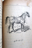 كتاب الخيل وفرسانها, نجيب بك خوري Arabic Horses Anatomy Lebanese Org. Book 1912