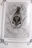 The Book of Truth by A. Assi (Part One, Assi Diffusion) Theosophy