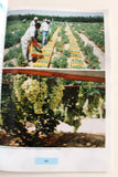 Les Emirats Arabes Unis 1991 The United Arab Emirates Yearbook French Book