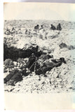 كتاب ٩٠ يوماً مع الفدائيين Arabic 90 Days with the Fedayeen Palestine Book 1969