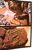 Aramco World Magazine Petroleum Oil #2 Vol.29 Magazine 1978