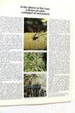 Aramco World Magazine Petroleum Oil #2 Vol.34 Magazine 1983