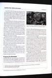 Hizballah at War: A Military Assessment US Book 2006