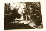 كتاب كلنا فدائيون, ضحايا الستريو, أحمد حرك The Stereo Victims Arabic Palestine Book & Photos 1960s