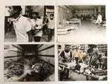 (Set of 26)  مجموعة صور معارك طرابلس، ياسر عرفات, أبو عمار، أبو موسى, فتح الانتفاضة Original Tripoli Photos 1983