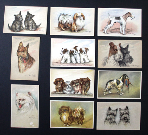 Dogs Vintage Belgium Belgique (Set of 22) Postcard 40s?