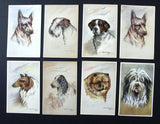 Dogs Vintage Belgium Belgique (Set of 22) Postcard 40s?