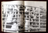 كتاب شهادات ملونة: من رسوم أطفال تل الزعتر Testimony Colour Drawing Tel Zaatar Palestine Book 1977