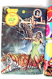 Tarzan طرزان كومكس مجموعة رقم ٢٤ Lebanese Original Arabic #24 Comics 1980s