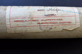 Palestine, Registration Tube Freemason Supreme Grand Arch Chapter of Scotland, UN 1944