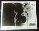 (Set of 8) blood fiend (Christopher Lee) Org. Movie Still Photo 60s