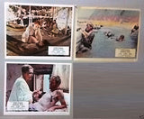 {Set of 8} Murphy's War {Peter O'Toole} Original 8x10" U.S Lobby Cards 70s