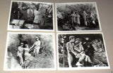 {Set of 19} TARZAN Mix Stills {WEISSMULLER} Vintage B&W Photos R70s?