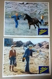 {Set of 8} The Electric Horseman (ROBERT REDFORD) 11x14 Org. U.S Lobby Cards 70s