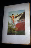 Bruce Lee Kung Fu Secrets Arabic Martial Arts Instruction Illust. Vintage Book