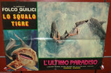 (Set of 3) L'ULTIMO PARADISO {Folco Quilici} Shark Italian Movie Lobby Card 60s