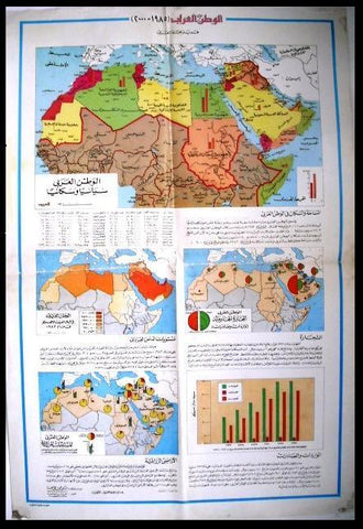 Arab World Statistics Arabic Magazine Poster 1985-2000
