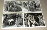 {Set of 19} TARZAN Mix Stills {WEISSMULLER} Vintage B&W Photos R70s?