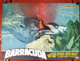 (Set of 8) Barracuda {WAYNE CRAWFORD} Org Italian Movie Lobby Card 70s