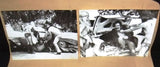 {Set of 13} The Hitchhikers (Misty Rowe) Original Movie Stills 70s