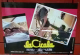 (Set of 5) La Cicale (Alberto Lattuada) Italian Original Movie LOBBY CARD 80s