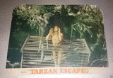 (Set of 2) TARZAN ESCAPES {JOHNNY WEISSMULLER} Original Lobby Card 50s