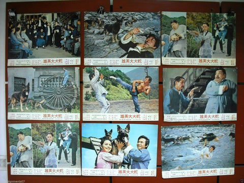 {Set of 12} Dog King and Snake King Chai-tsai Ai Rare Kung Fu Lobby Card 70s