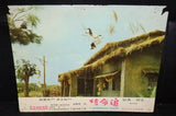 - Set of 6 - The Desperate Chase {Ted Henning} Kung Fu Film Lobby Card 70s