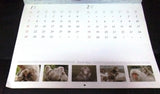 Earth Day Olympus Calendar Focus by Mitsuaki Iwago 2001