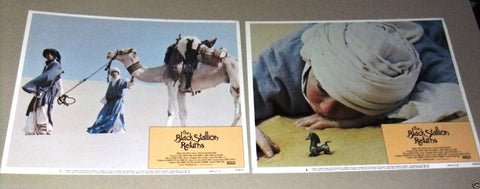 {Set of 8} THE BLACK STALLION RETURNS 11X14 USA Original LOBBY CARD 80s