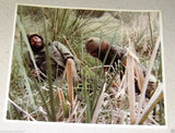{Set of 13} Fuerza Mortal Big Game (Max. H) Original Movie Colored Photos 80s
