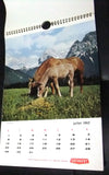 Gevaert Vintage Incompete Calendar Printed in Belgium 1962
