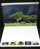 Earth Day Olympus Calendar Focus by Mitsuaki Iwago 2001