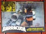 (Set of 8) Barracuda {WAYNE CRAWFORD} Org Italian Movie Lobby Card 70s