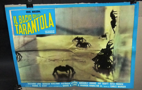 IL BACIO DELLA TARANTOLA Kiss of the Tarantula Italian Film 5 ORG Lobby Card 70s