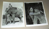 {Set of 19} TARZAN Mix Stills {WEISSMULLER} Vintage B&W Photos R70s?