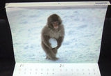 Earth Day Olympus Calendar Focus by Mitsuaki Iwago 2001